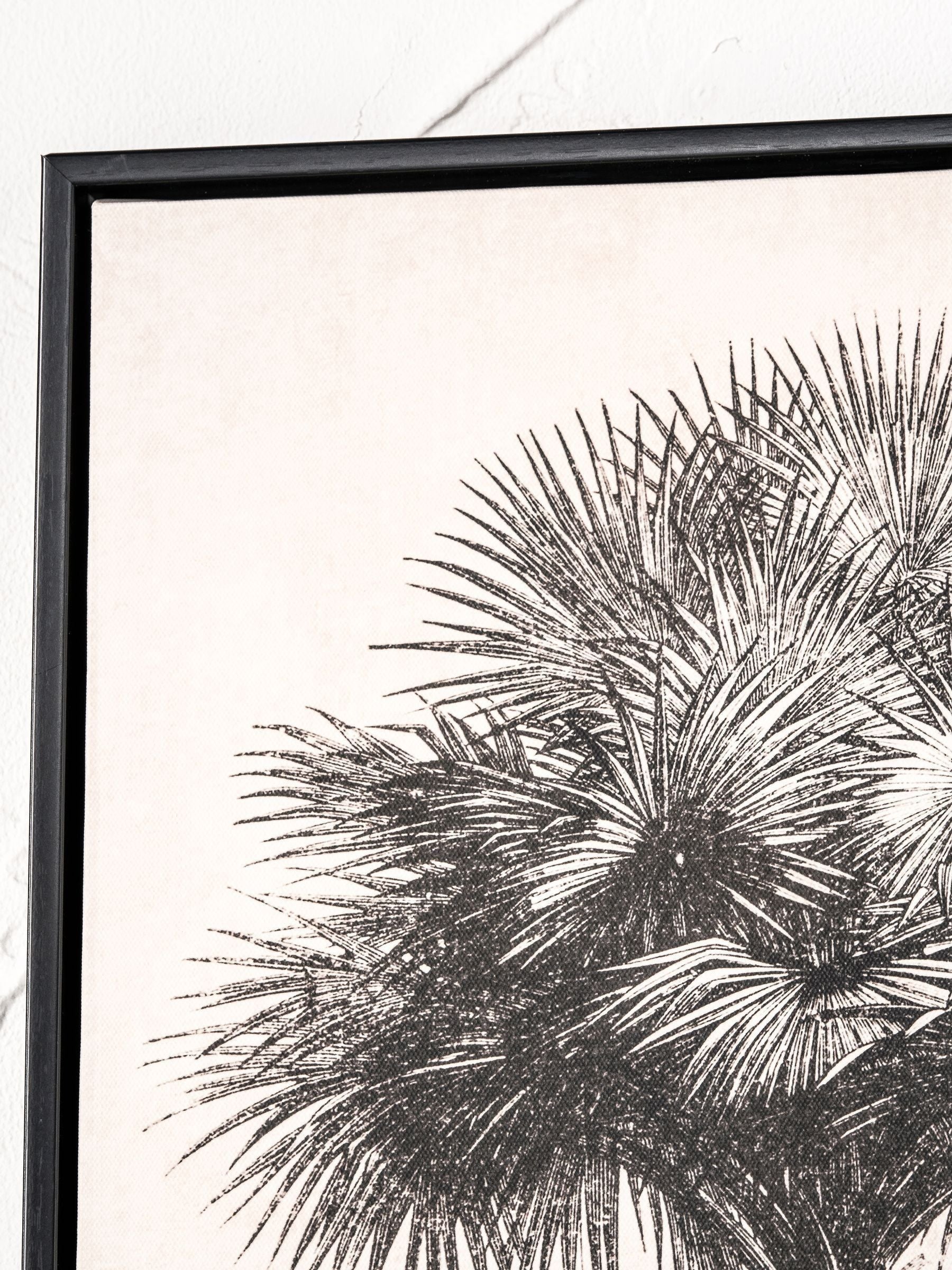 Pacific Lifestyle palm tree print canvas set with black frame 60cm x 40cm, imported from the UK