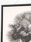 Pacific Lifestyle palm tree print canvas set with black frame 60cm x 40cm, imported from the UK
