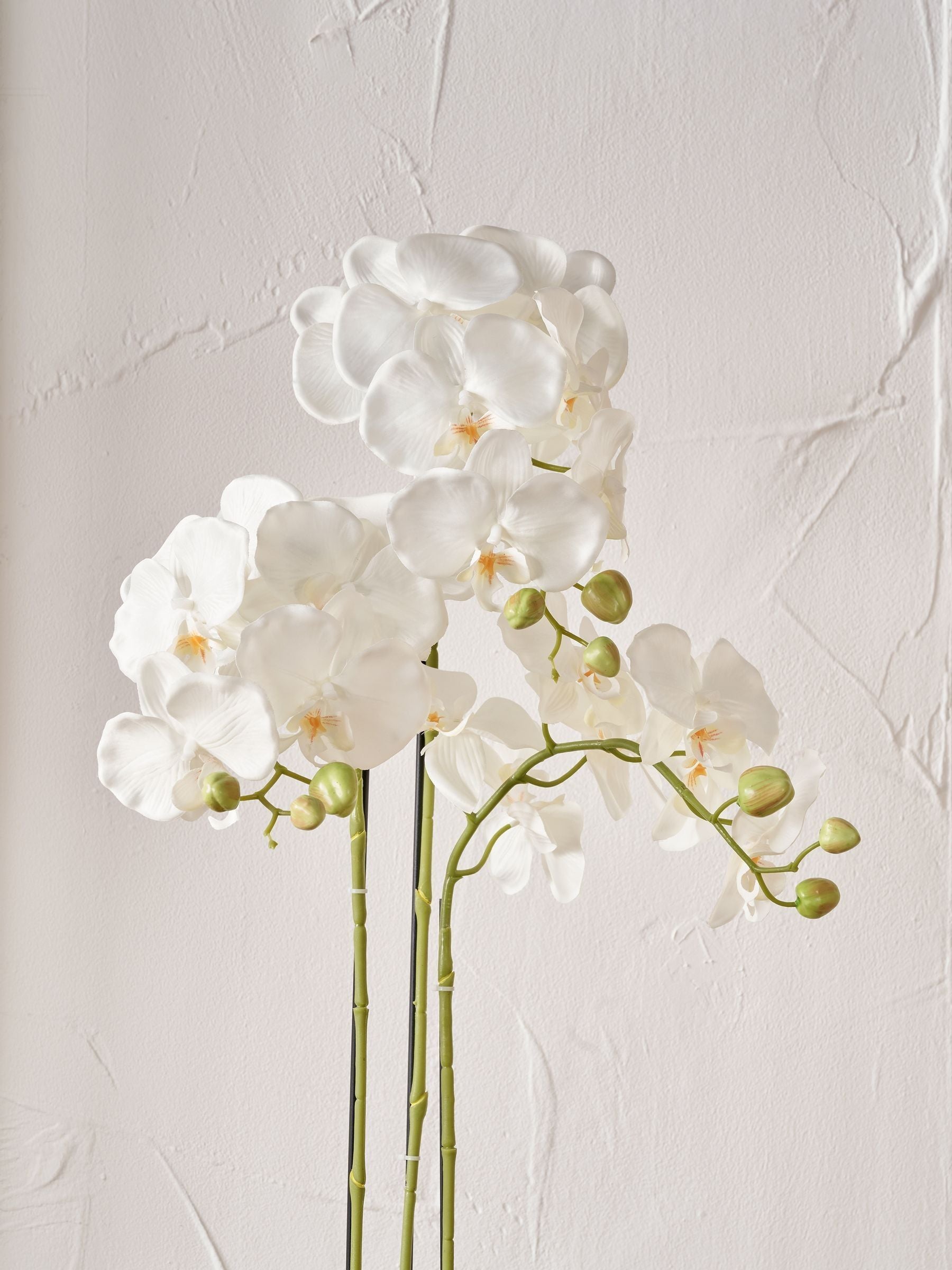 Pacific Lifestyle tall white faux orchid in moss pot, UK version