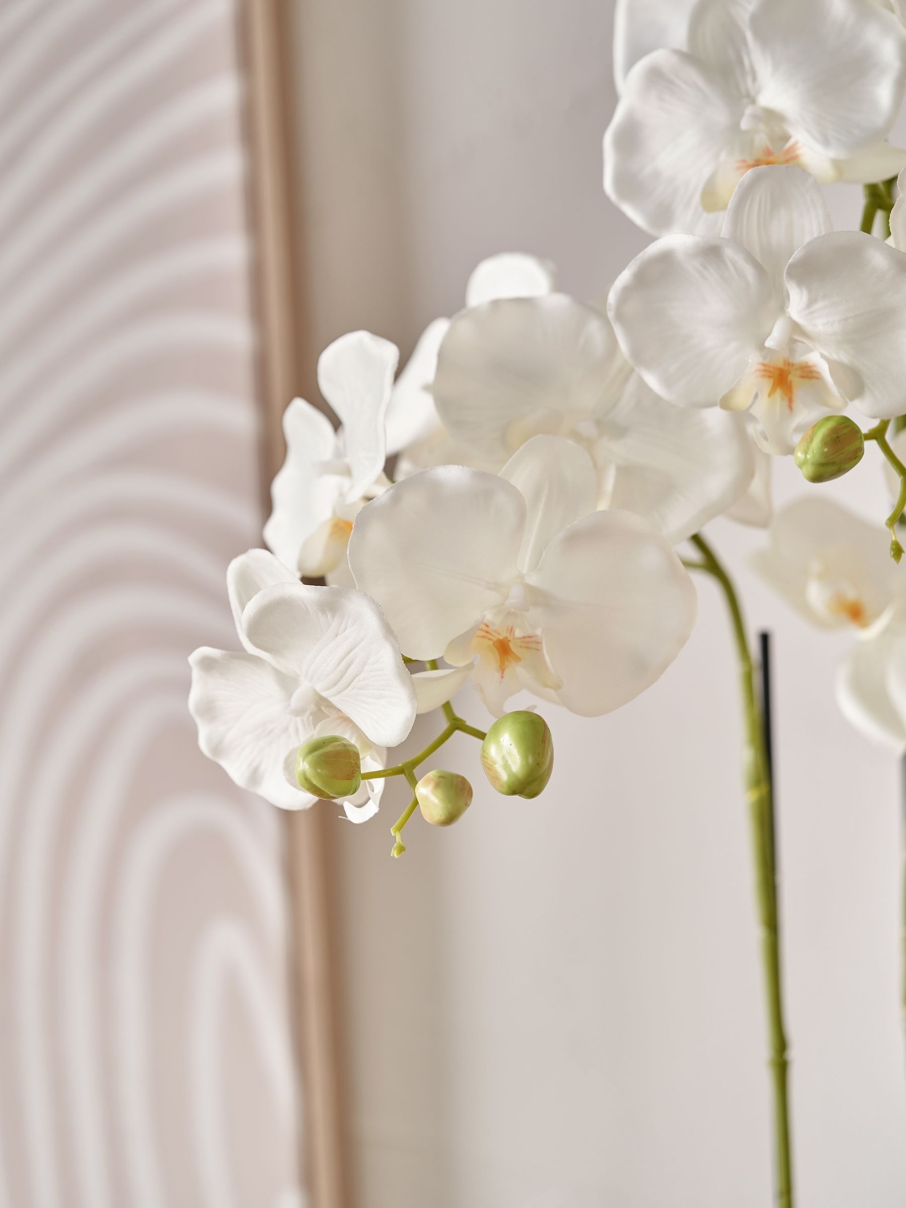 Pacific Lifestyle tall white faux orchid in moss pot, UK version
