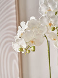 Pacific Lifestyle tall white faux orchid in moss pot, UK version
