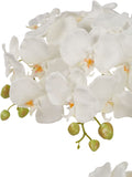 Pacific Lifestyle tall white faux orchid in moss pot, UK version