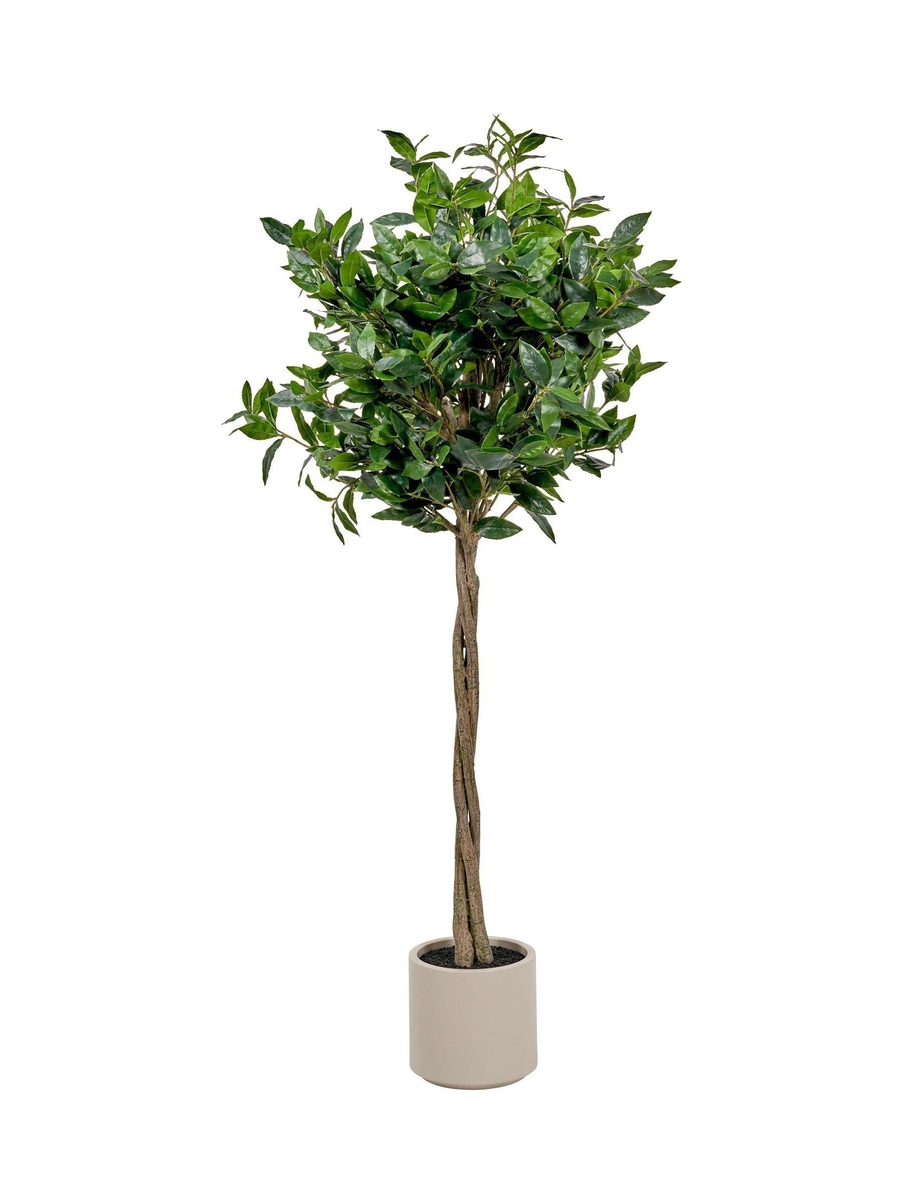 Pacific Lifestyle faux bay tree in pot - British product