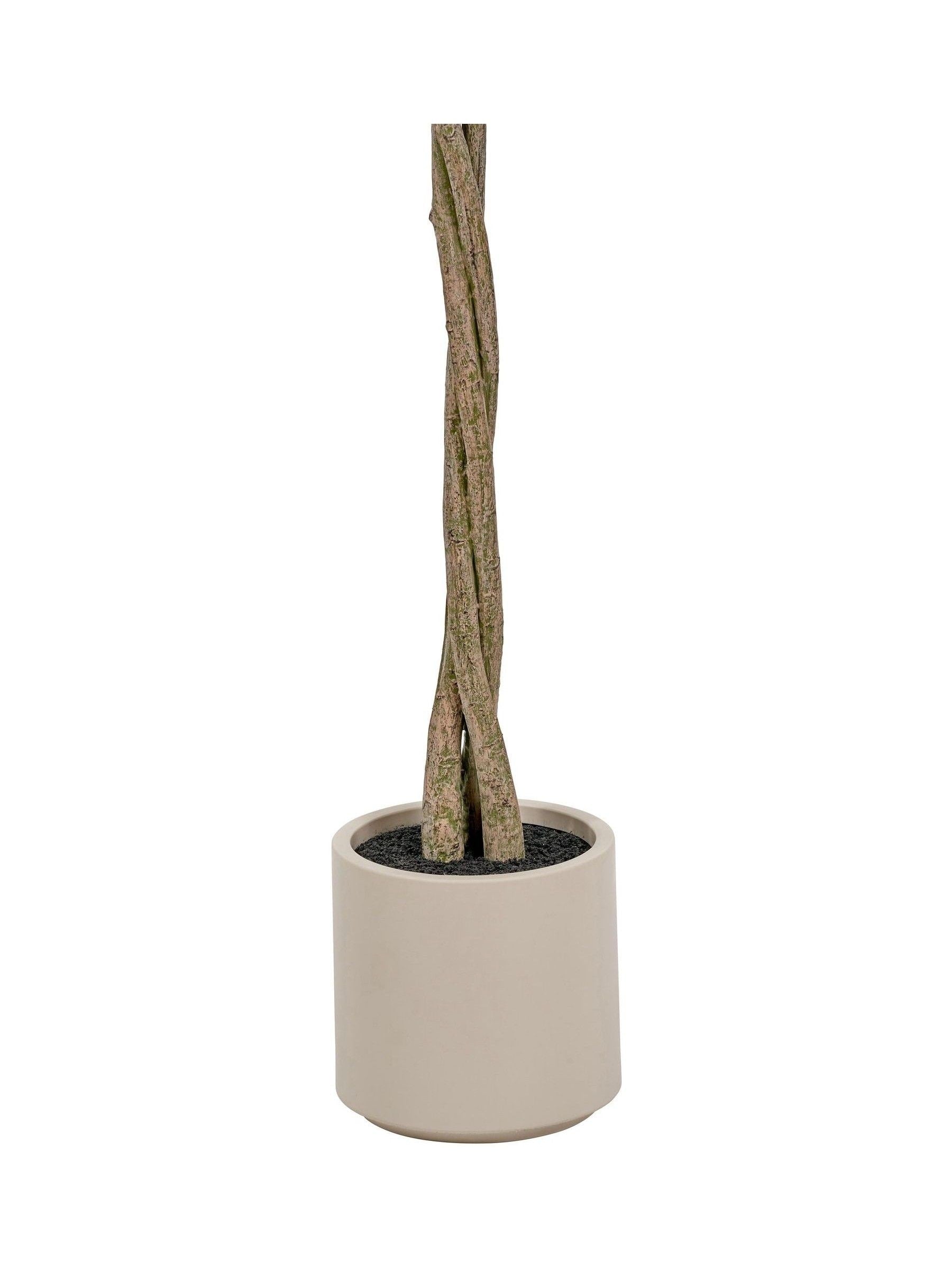 Pacific Lifestyle faux bay tree in pot - British product