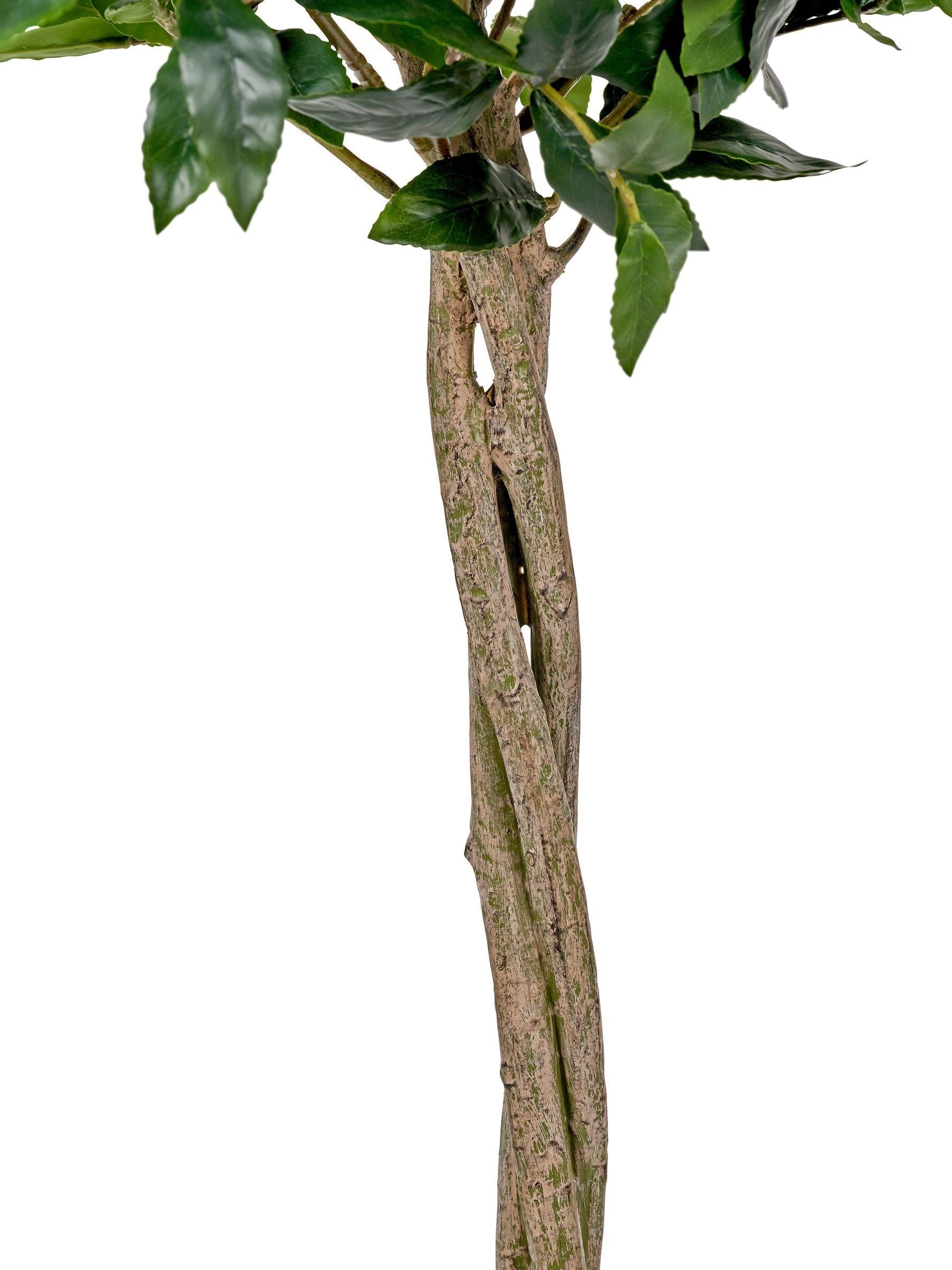 Pacific Lifestyle faux bay tree in pot - British product