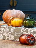 Autumn Harvest Scented Pumpkin Candles, Set of 3, 100g Glass Vessels