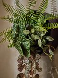 Black artificial plants in 3 tier Bronx wall planter 75cm - British product