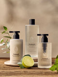Origins Of Scent white tea & bergamot shower gel 500ml, UK version