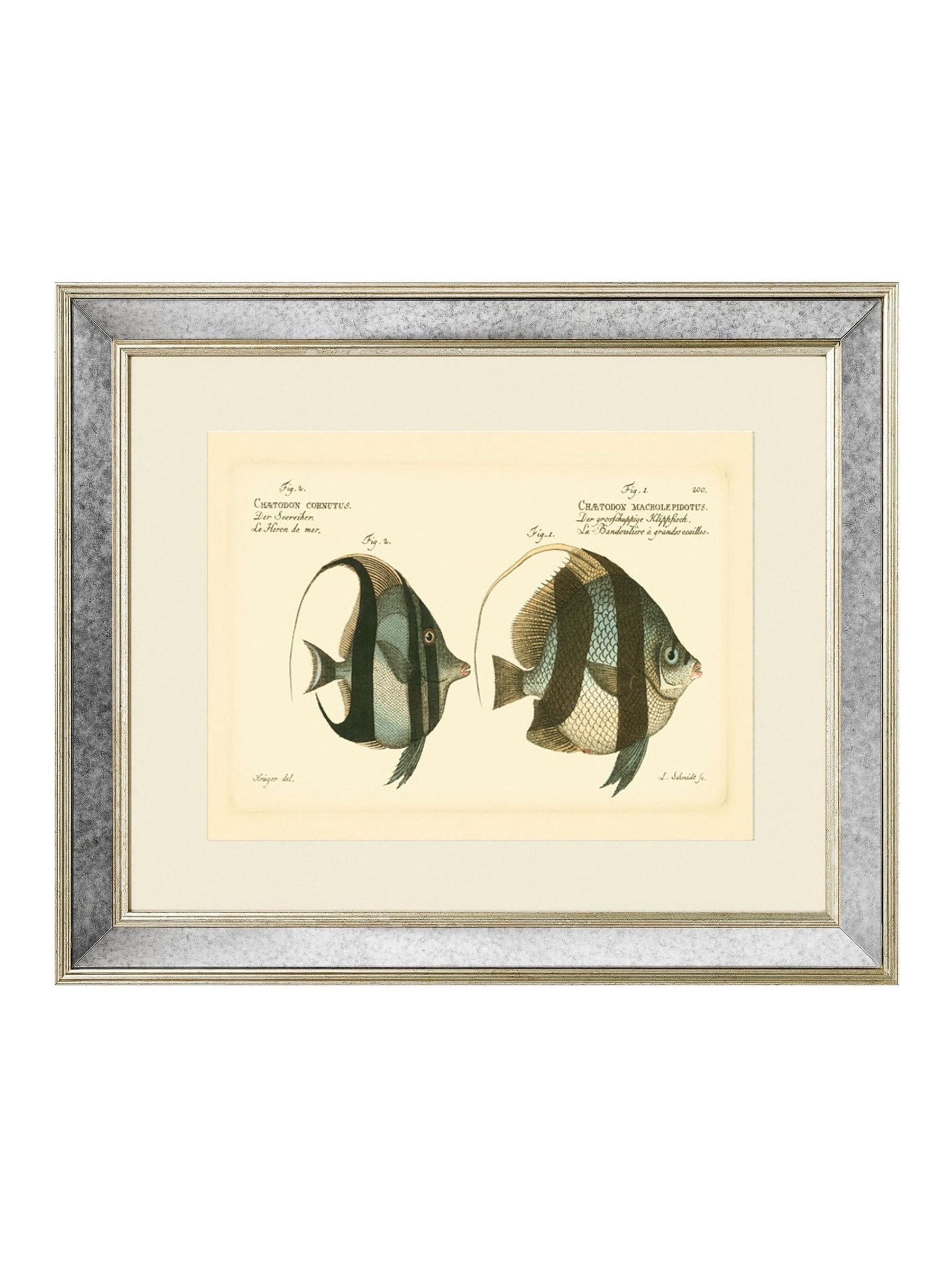 Brookpace Lascelles Bloch Antique Fish mirror in antique gold frame (British brand)