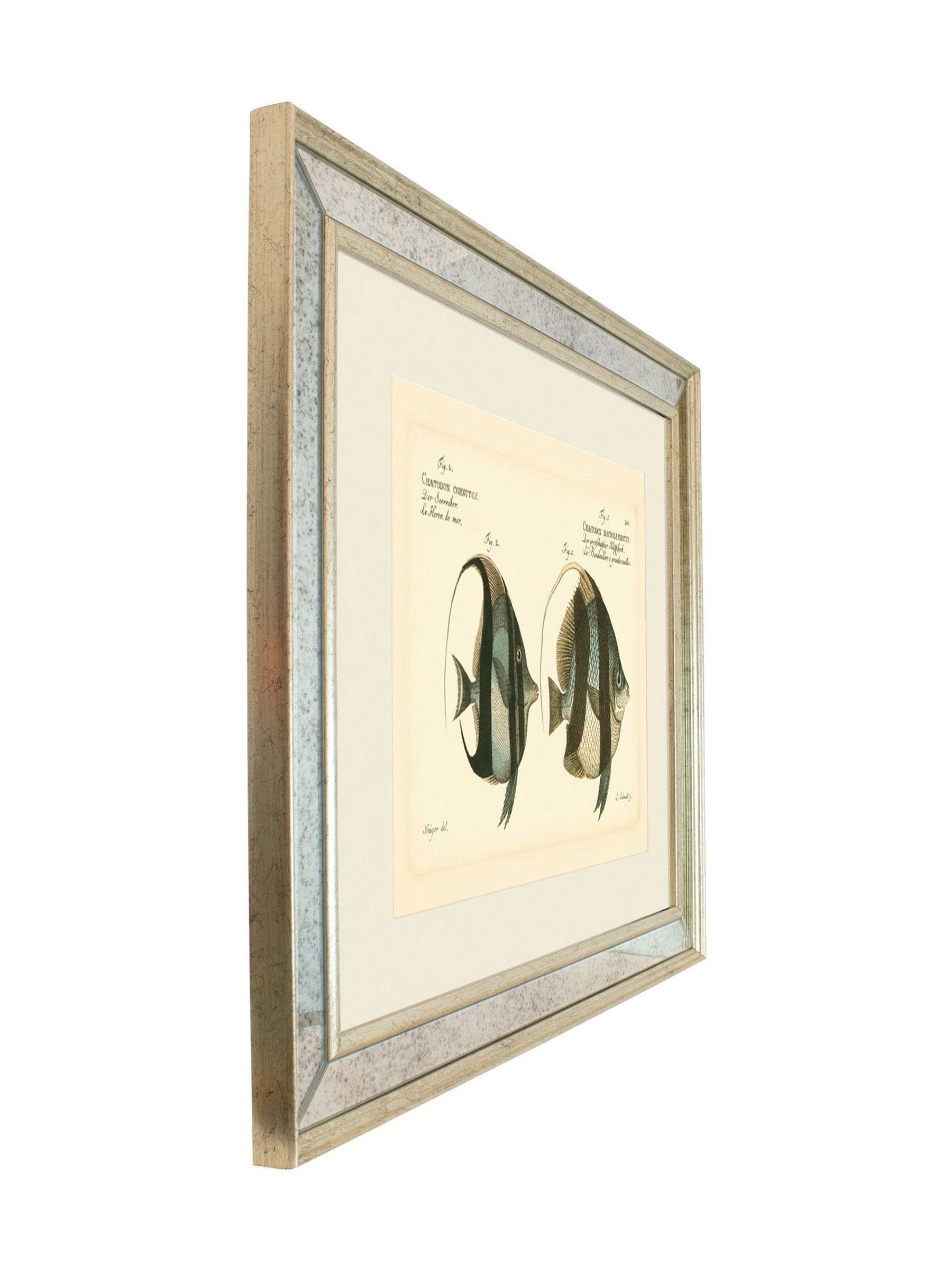 Brookpace Lascelles Bloch Antique Fish mirror in antique gold frame (British brand)