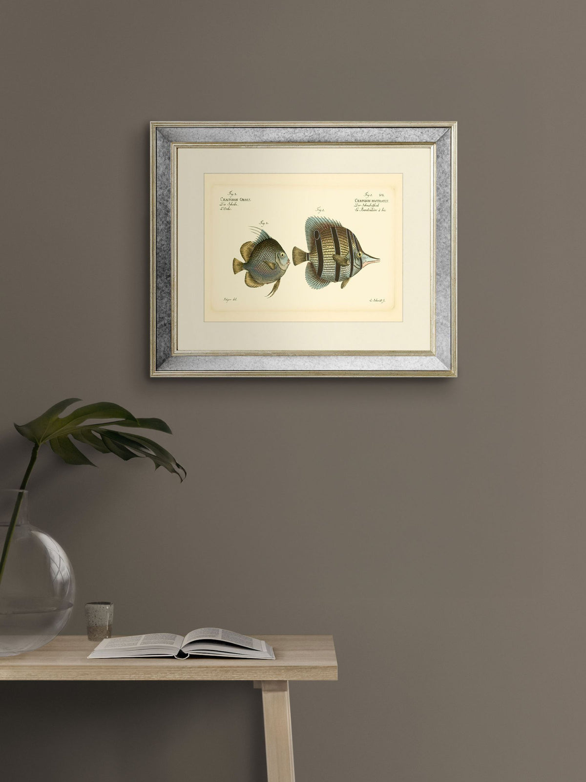 Brookpace antique fish mirror 40x50cm, UK version