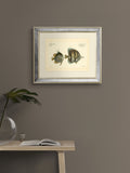 Brookpace antique fish mirror 40x50cm, UK version