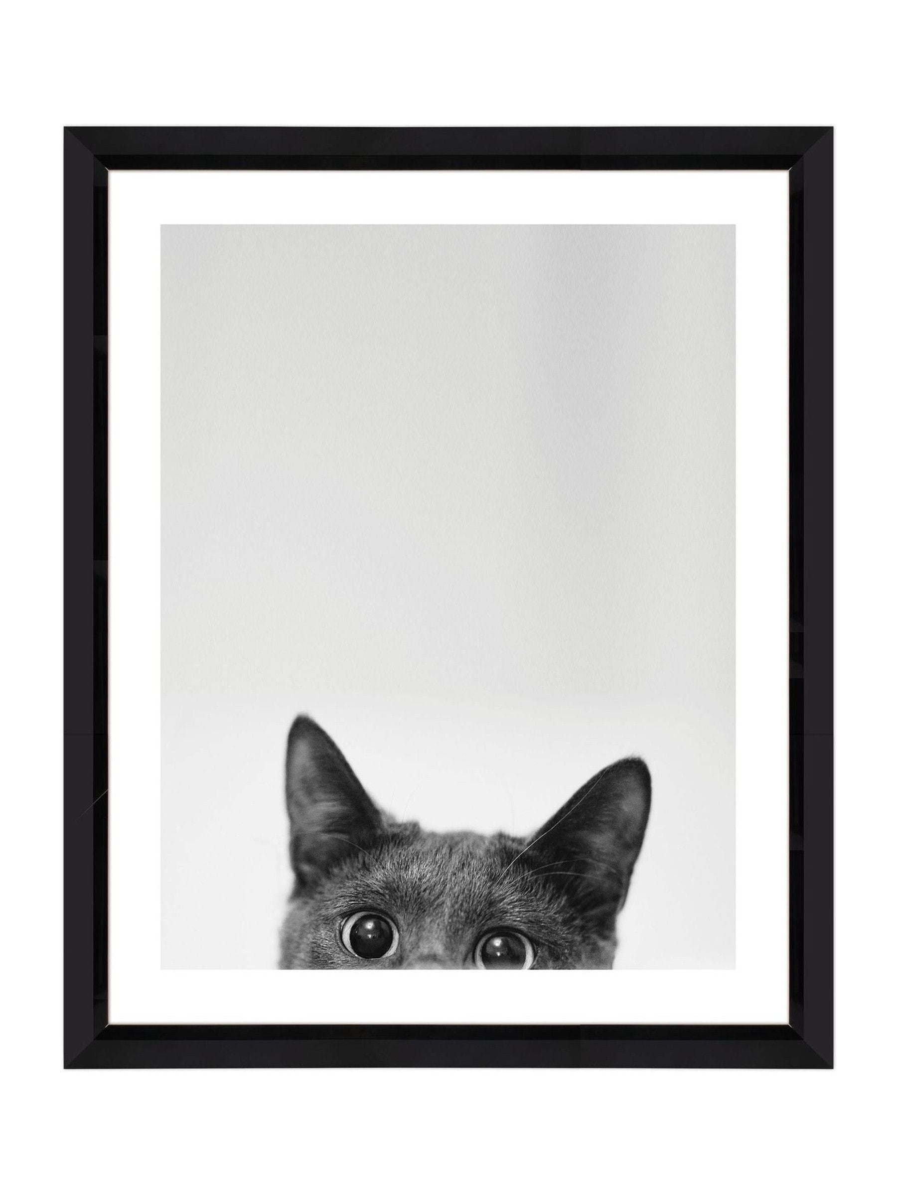 Brookpace Lascelles Peeping Cat Scandi wall art 40x50cm, imported from the UK