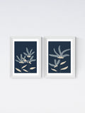 East End Prints white flowers wall art, imported from the UK