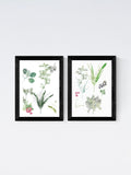 Cartissi Black Forest Floor Finds wall art prints - British product