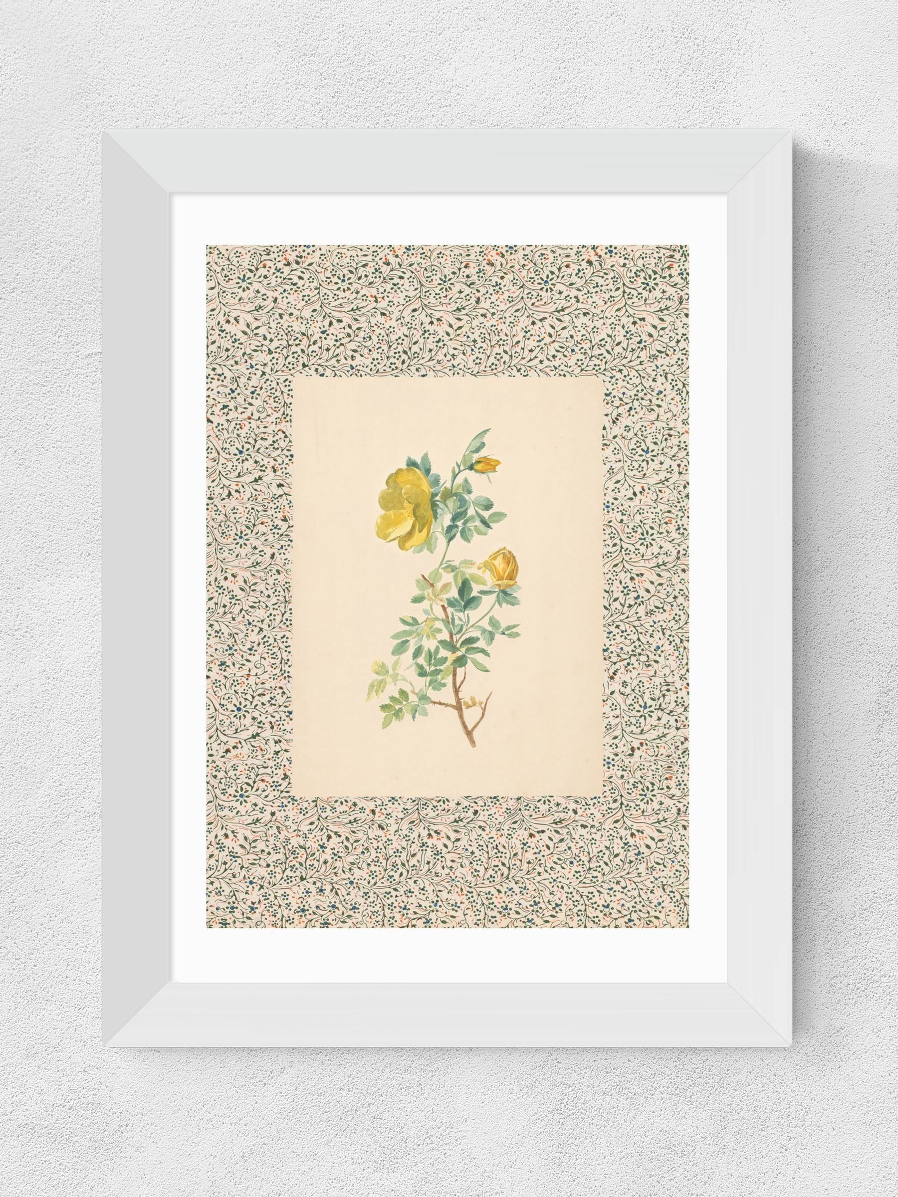 Oh Fine! Art white charming roses framed wall art print - British product