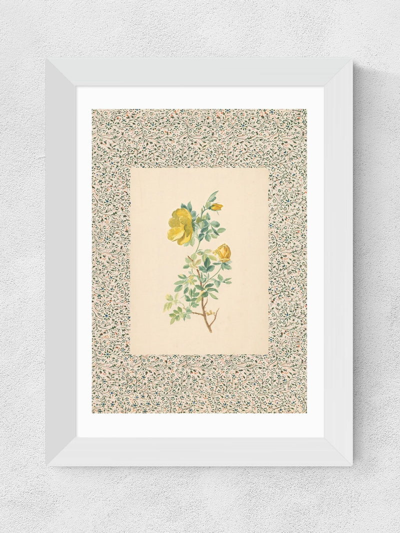 Oh Fine! Art white charming roses framed wall art print - British product