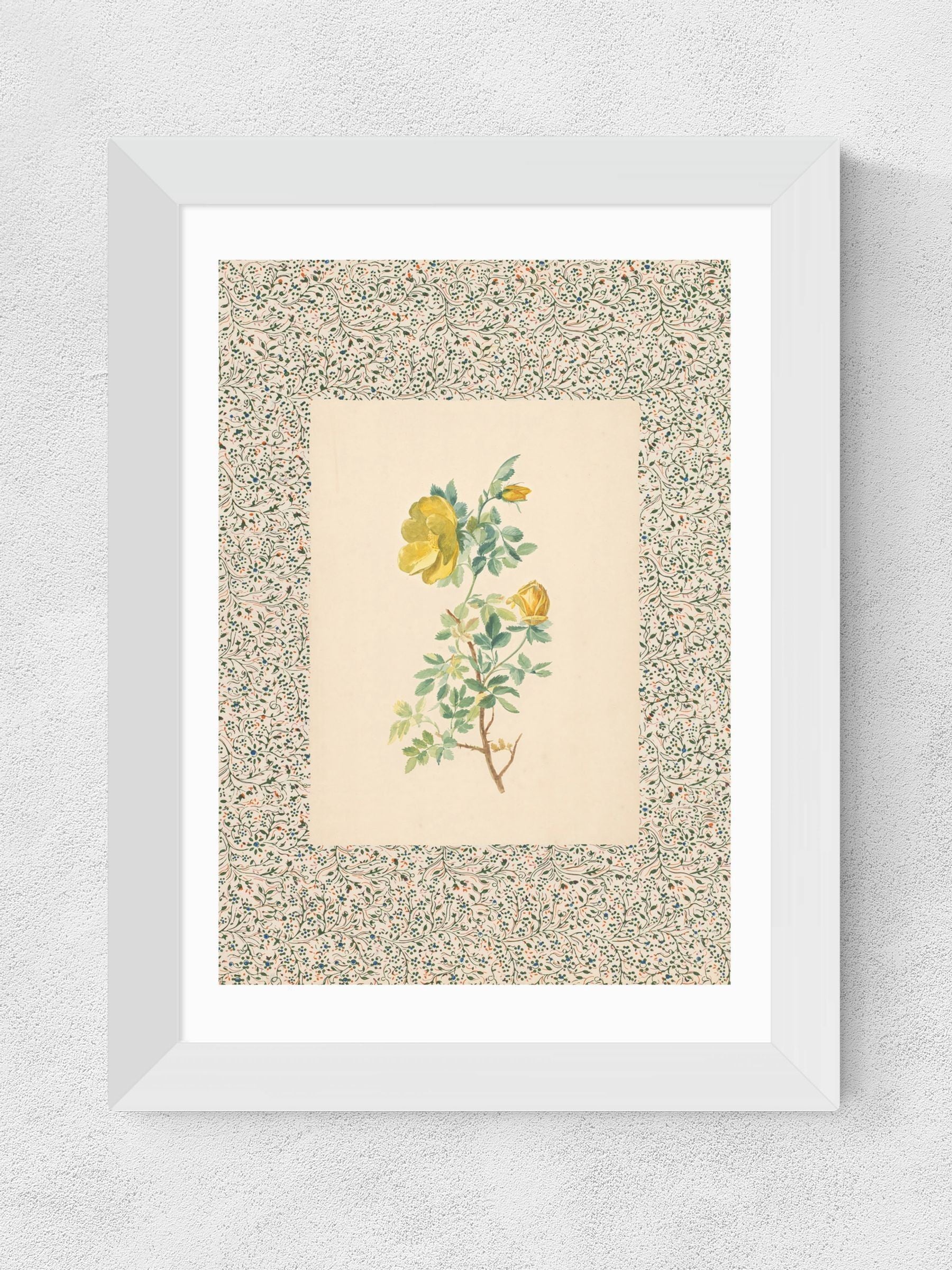 East End Prints White Charming Roses Wall Art Print by Oh Fine! Art