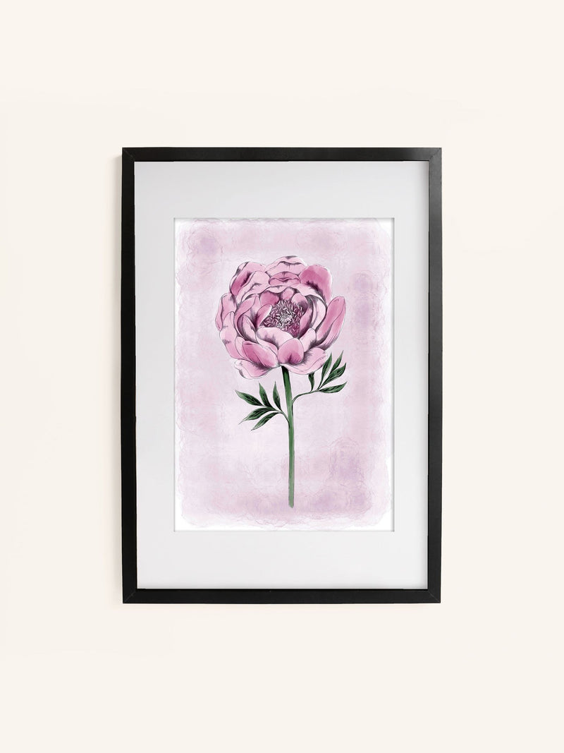 Laura Ashley black peony floral large wall art frame, UK version