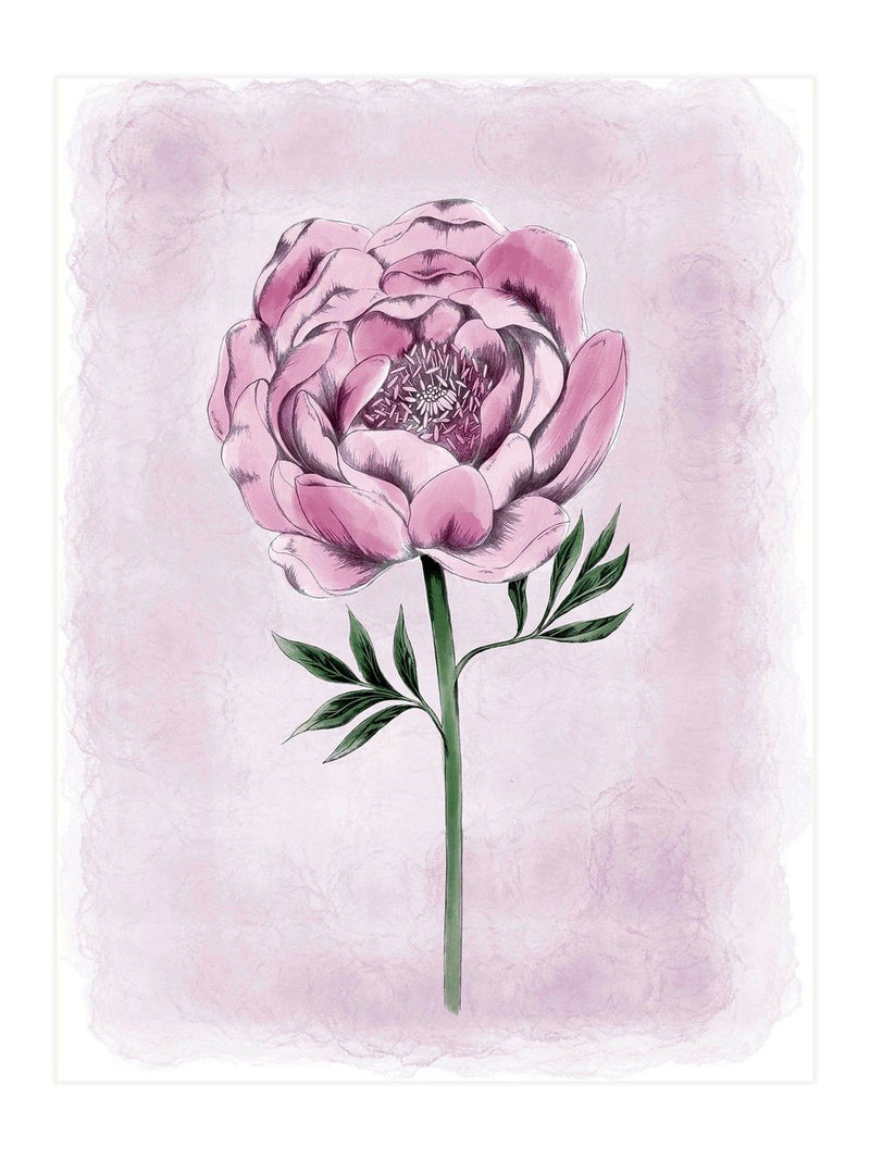 Laura Ashley black peony floral large wall art frame, UK version