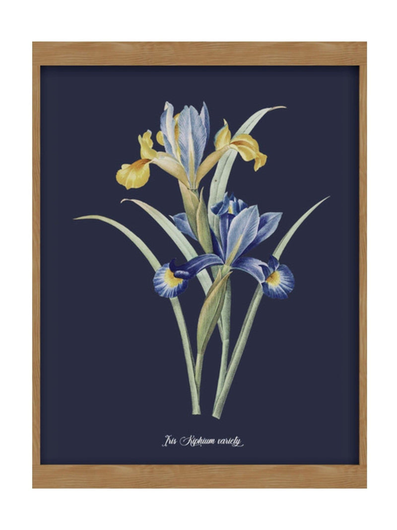 Graham & Brown Glasshouse Iris wood frame artwork (British brand)