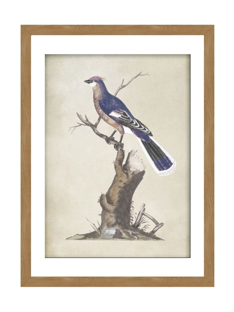 Graham & Brown Blue Perched Serenity framed art, UK version