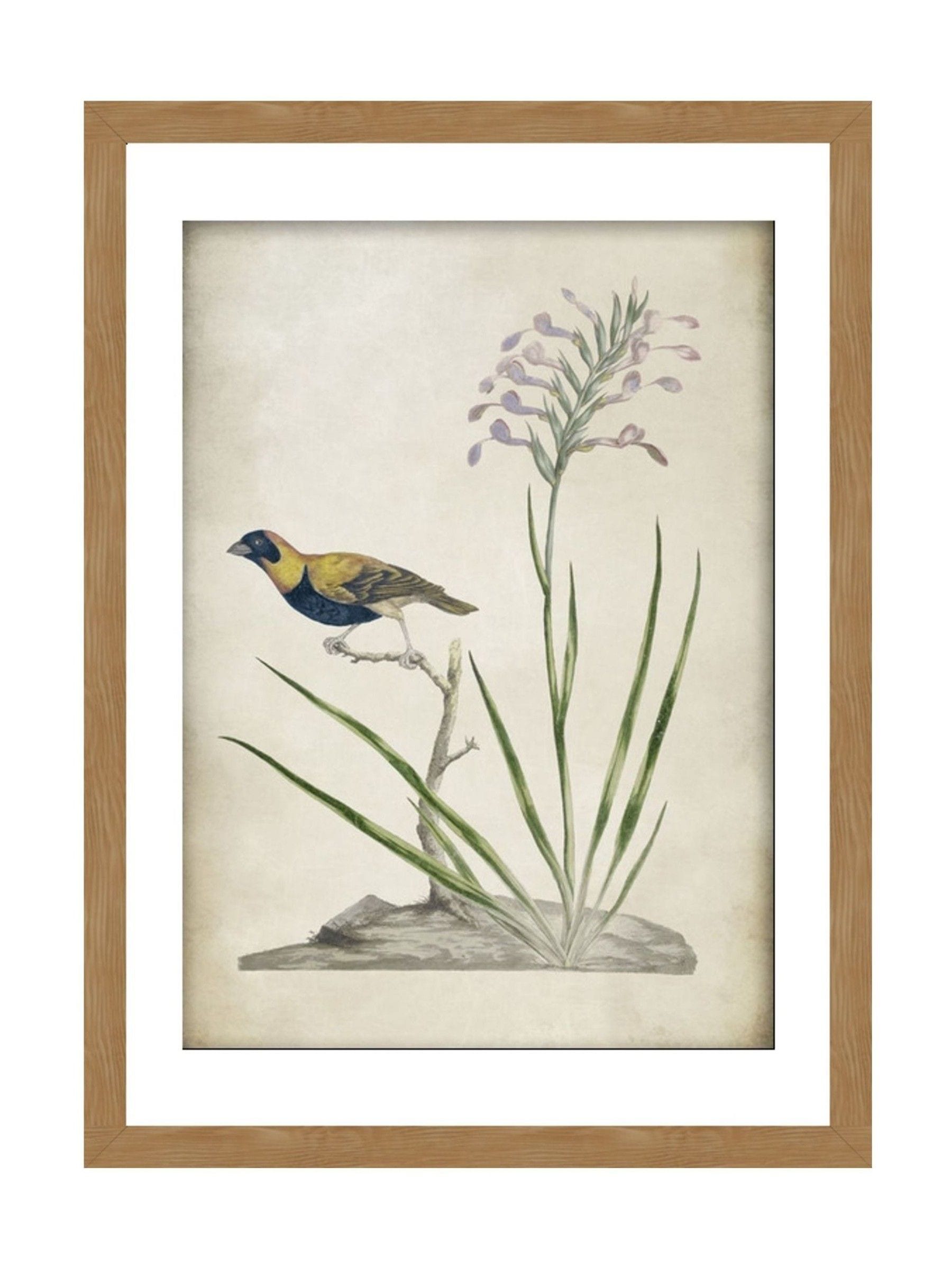 Graham & Brown multicolour Birds Rest wall art wood frame, UK version