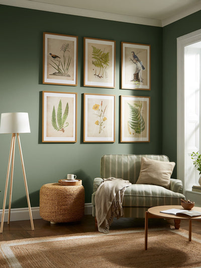 Next Graham & Brown Birds Rest Multicolour Framed Wall Art- Buy online at McGrocer