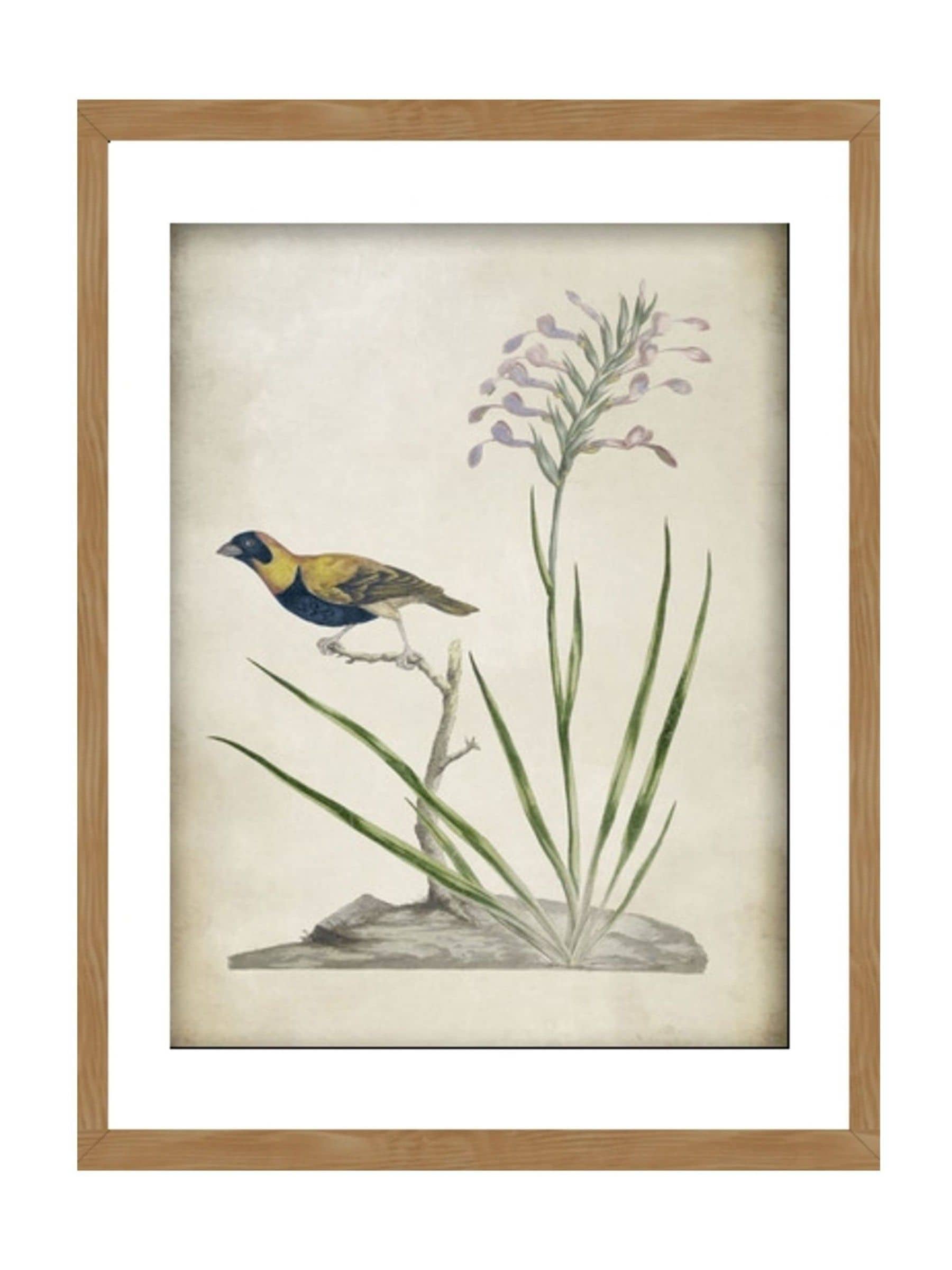 Graham & Brown Birds Rest wall art wood frame, UK version