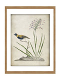 Graham & Brown Birds Rest wall art wood frame, UK version
