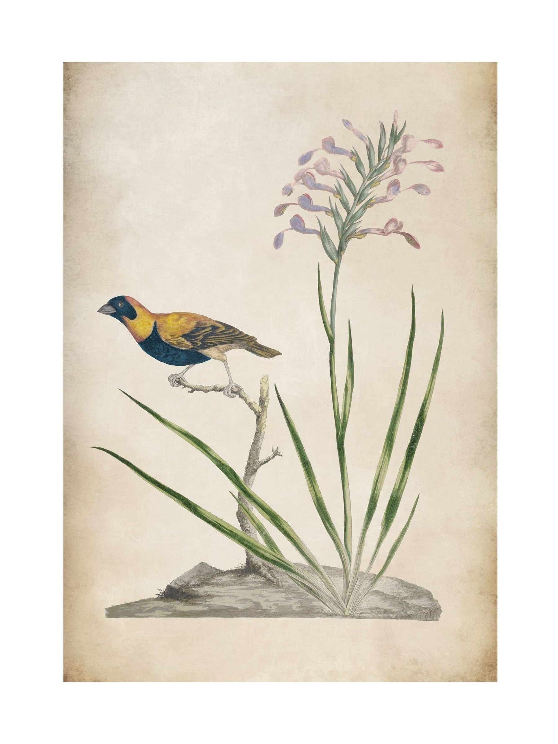 Graham & Brown Birds Rest wall art wood frame, UK version