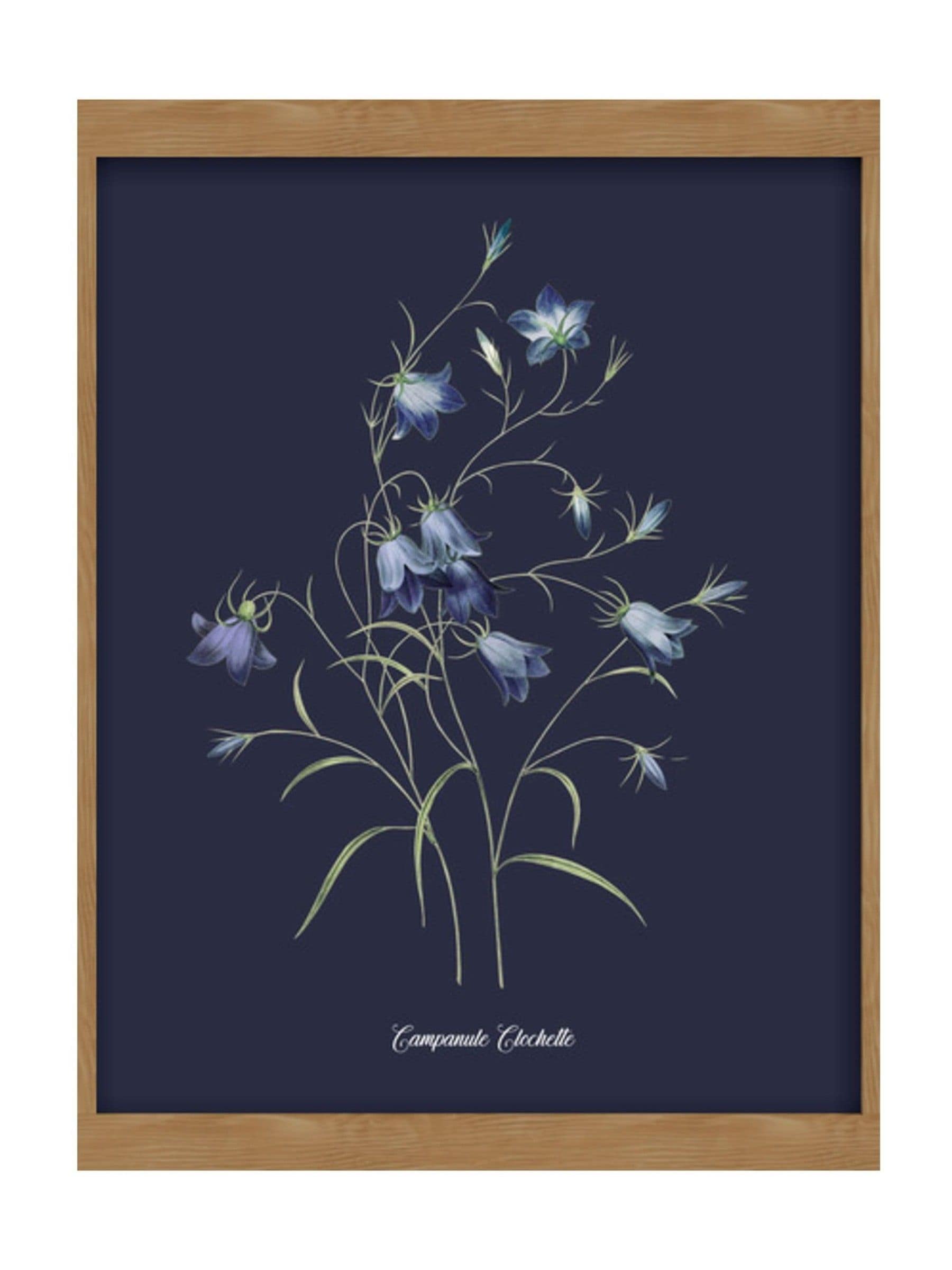 Graham & Brown Bluebell wood frame wall art - British product