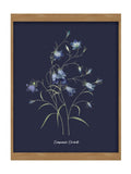 Graham & Brown Bluebell wood frame wall art - British product