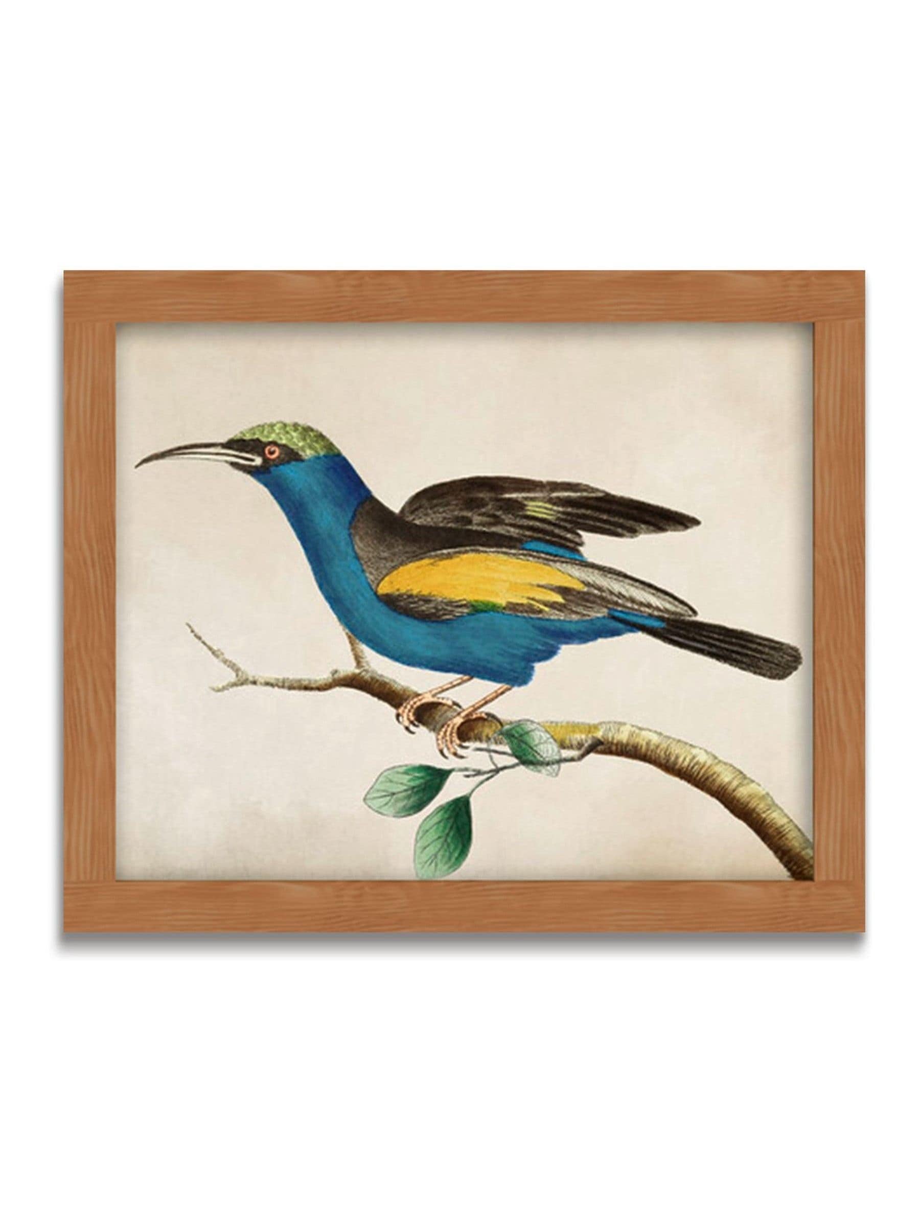 Graham & Brown Ready For Flight wood frame (British brand)