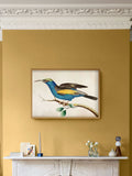 Graham & Brown Ready For Flight wood frame (British brand)
