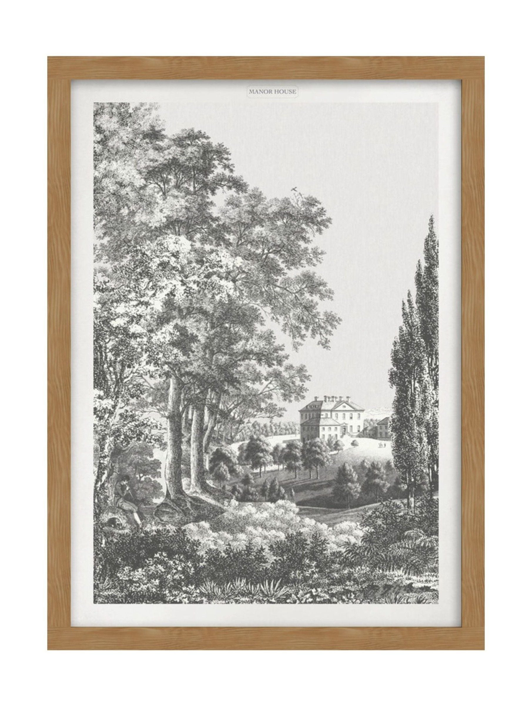 Graham & Brown Stately Manor Mono wood frame wall art - British product