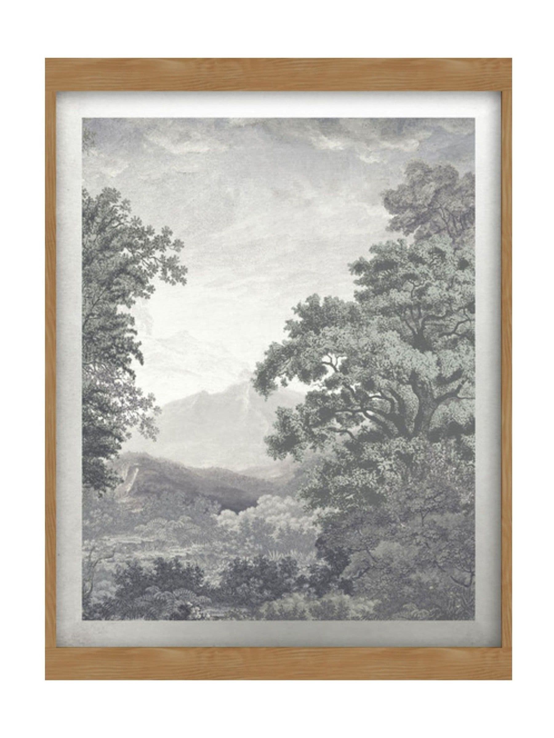 Graham & Brown Sage Sketch Forest Sunset Wood Frame