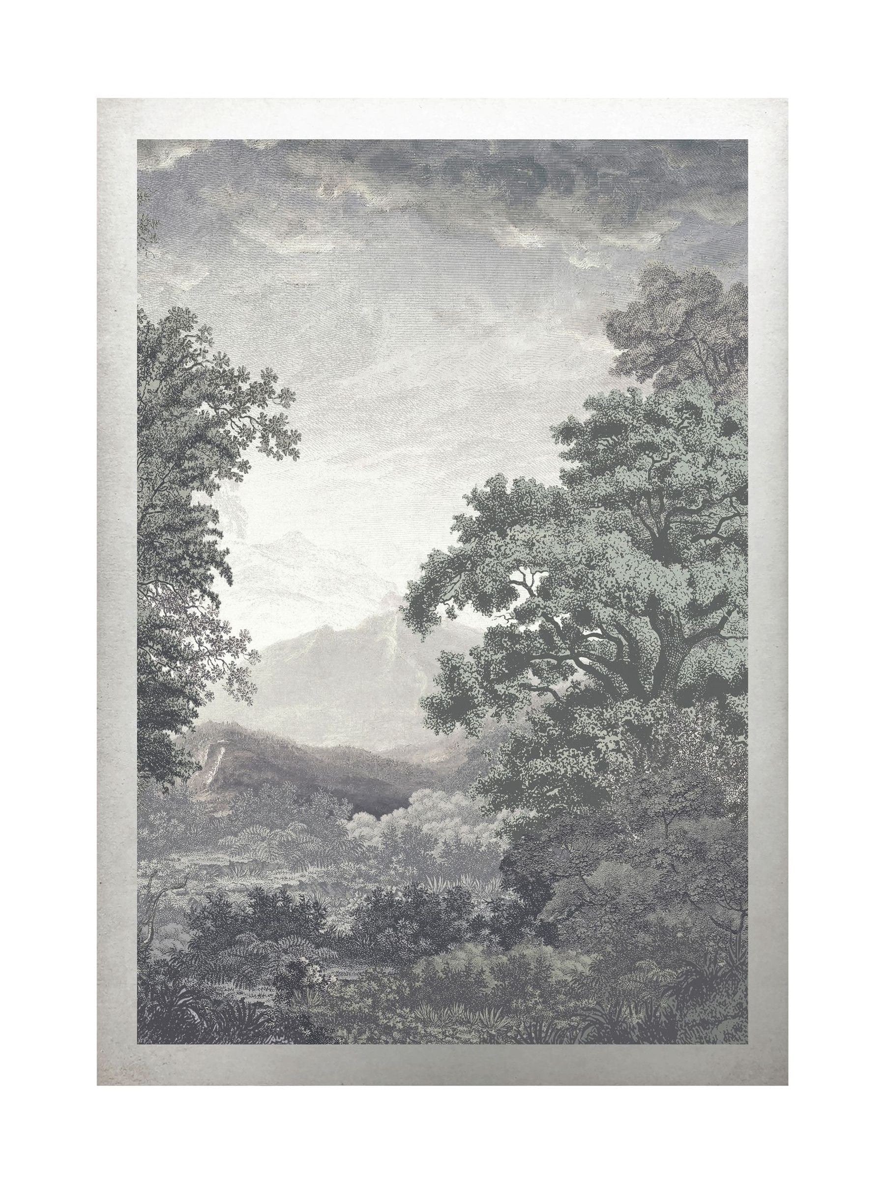 Graham & Brown Sage Sketch Forest Sunset Wood Frame