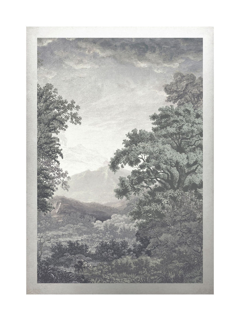 Graham & Brown Sage Sketch Forest Sunset Wood Frame