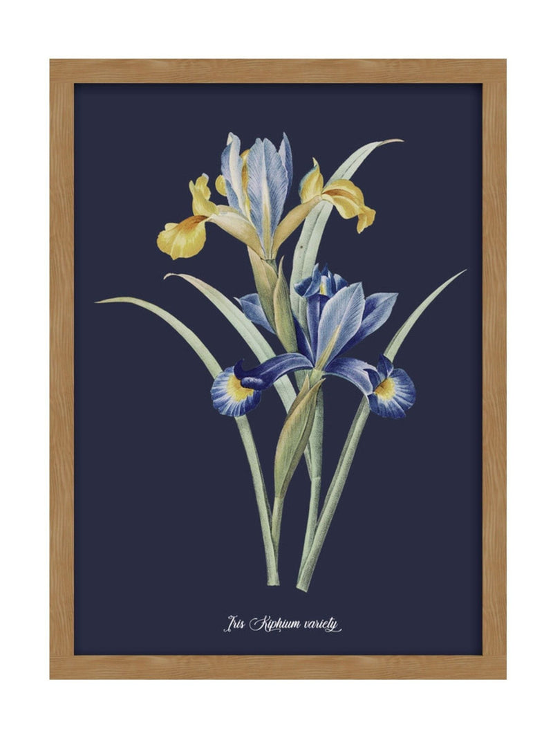 Graham & Brown Glasshouse Iris wall art - British product