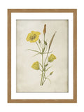Graham & Brown framed wall art yellow wildflower - British product
