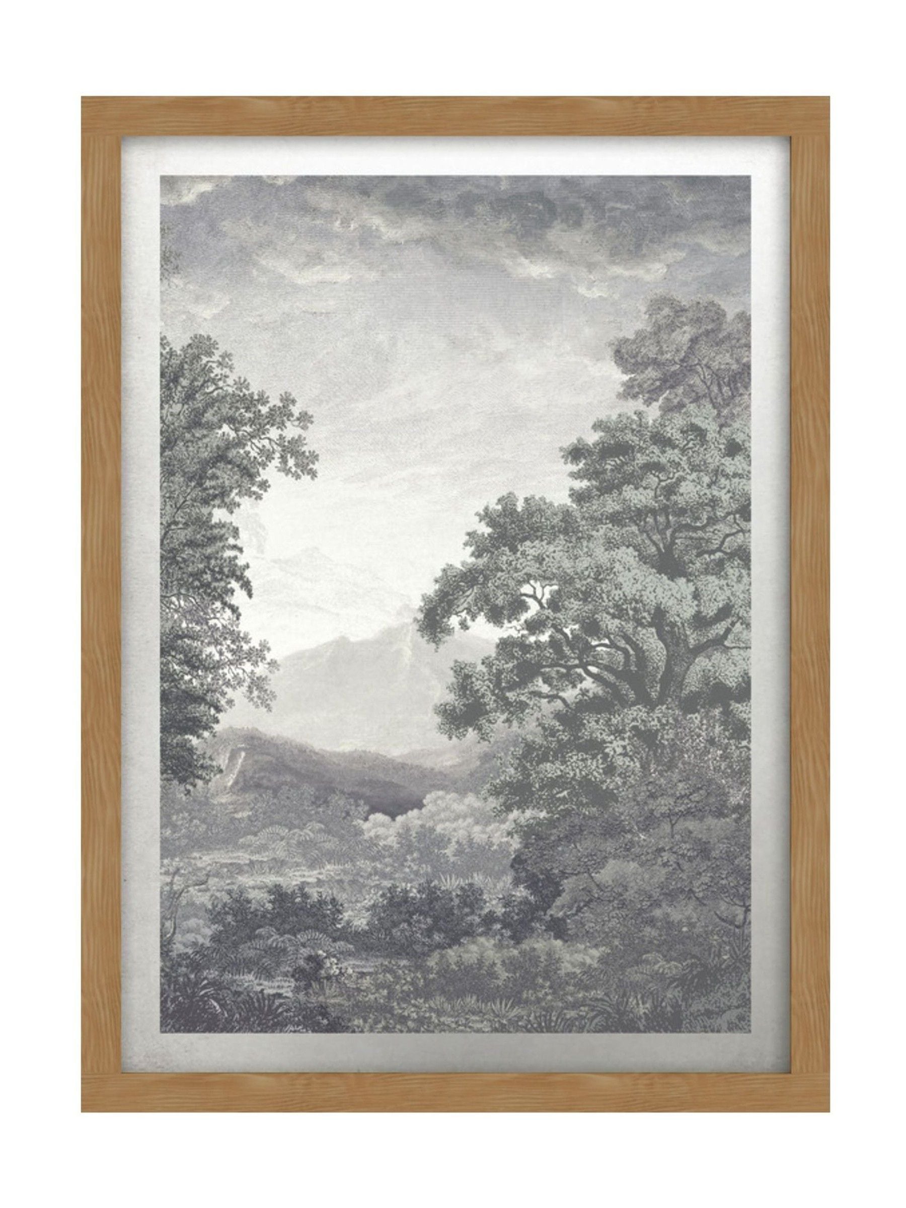 Graham & Brown Forest Sage framed art - imported from the UK