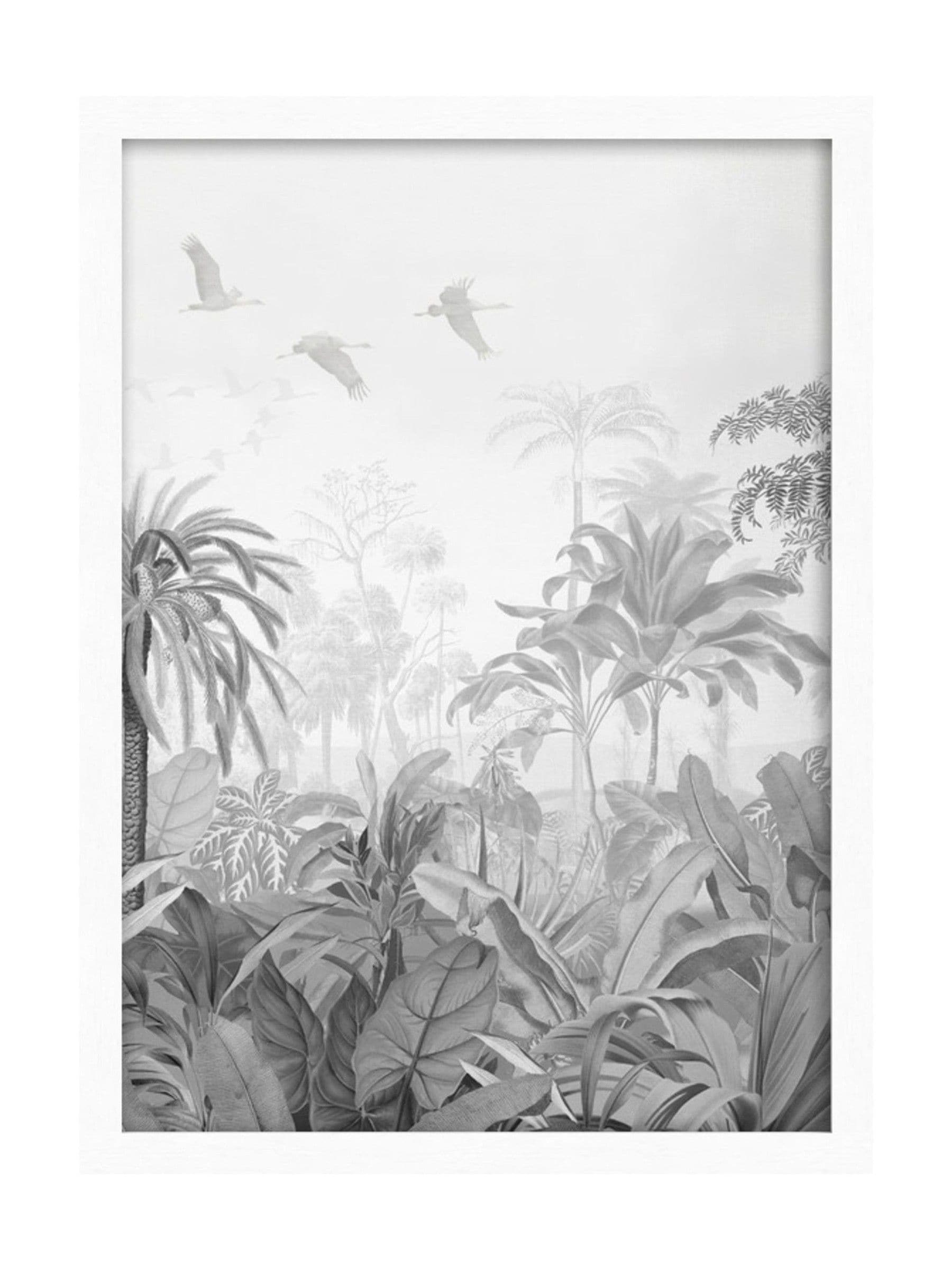 Graham & Brown Paradise Jungle Mono large framed print (British brand)