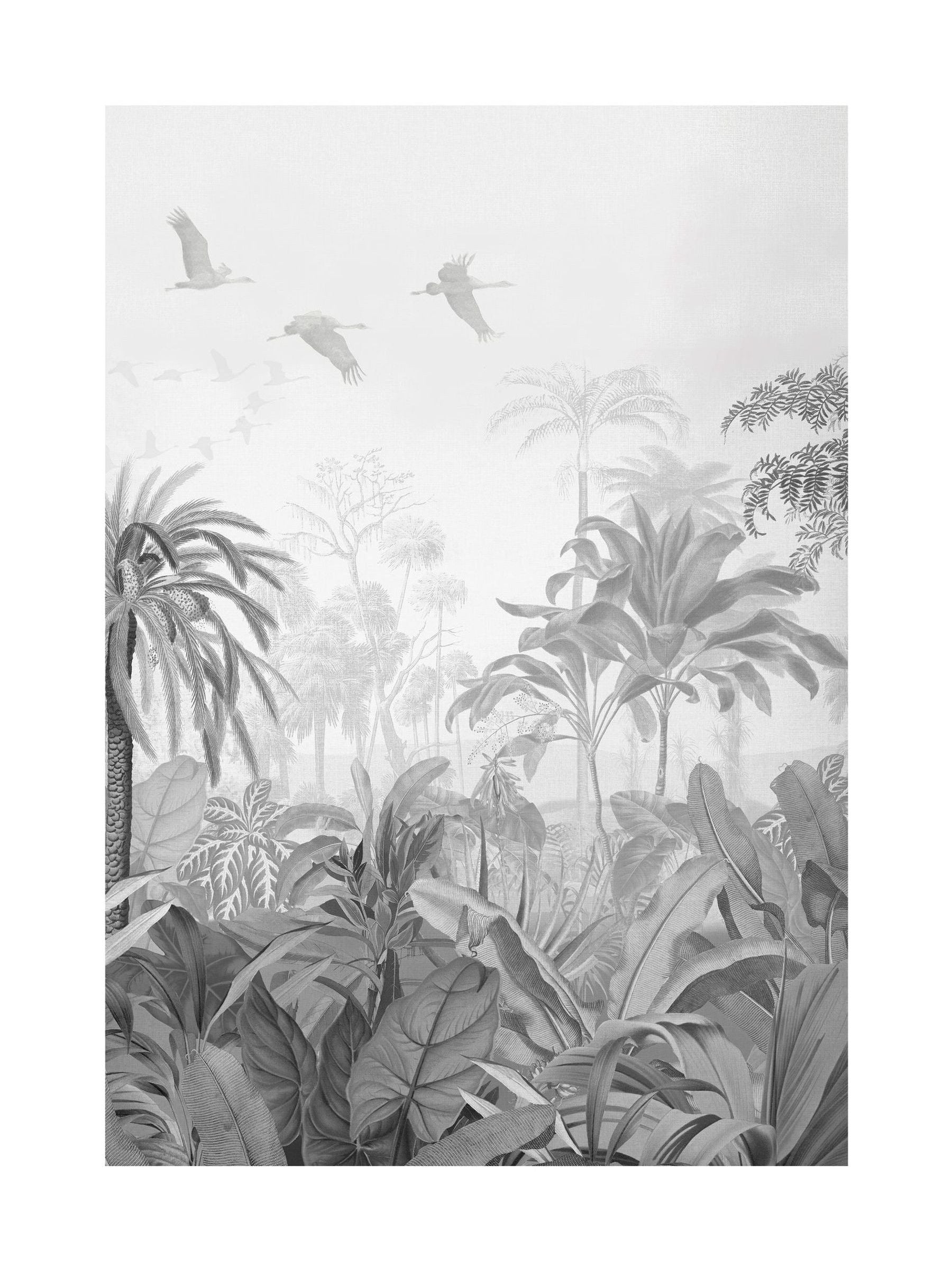 Graham & Brown Paradise Jungle Mono large framed print (British brand)