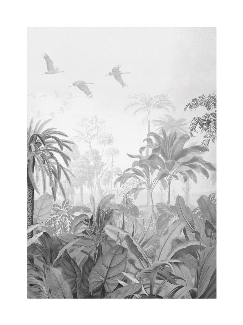 Graham & Brown Paradise Jungle Mono large framed print (British brand)