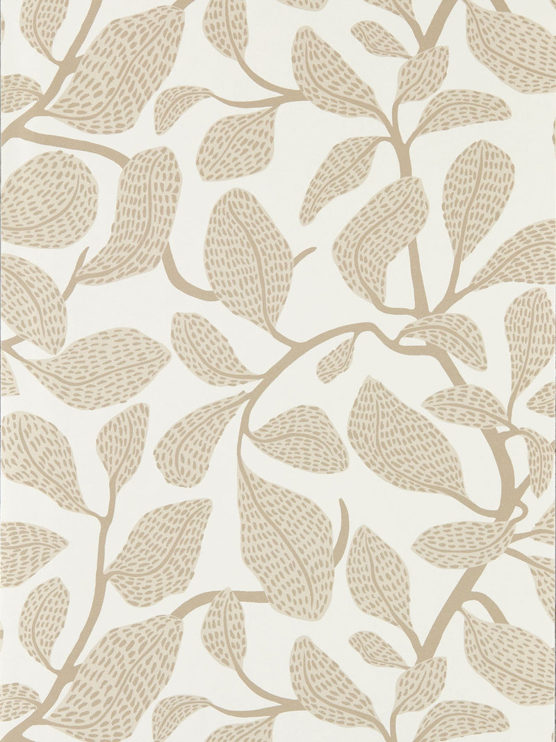 Scion Natural Sweet Bay Oakham 10M Wallpaper