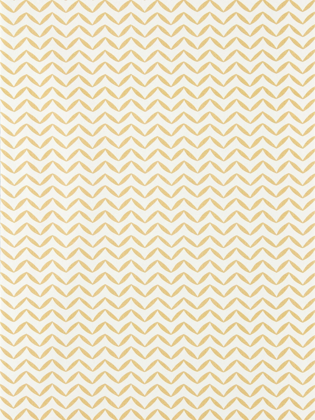 Scion wallpaper Honey Sapling Oakham A4, UK version