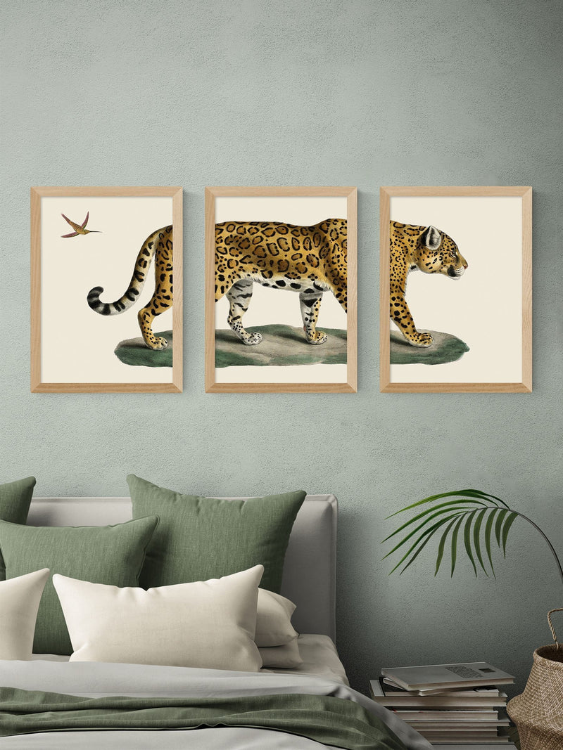 East End Prints oak jaguar wall art prints set - British product