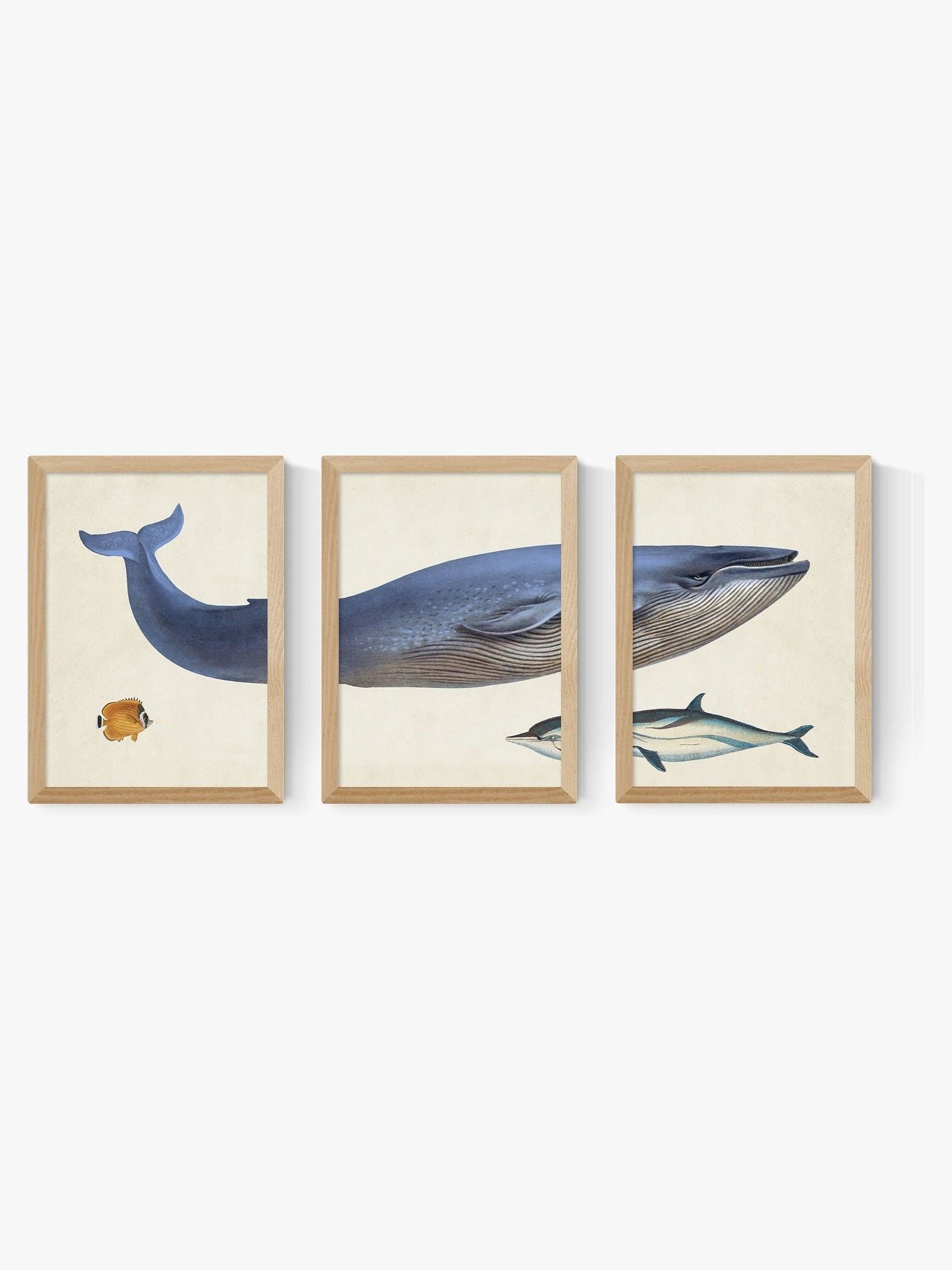 East End Prints black whale wall art prints set of 3 - British product