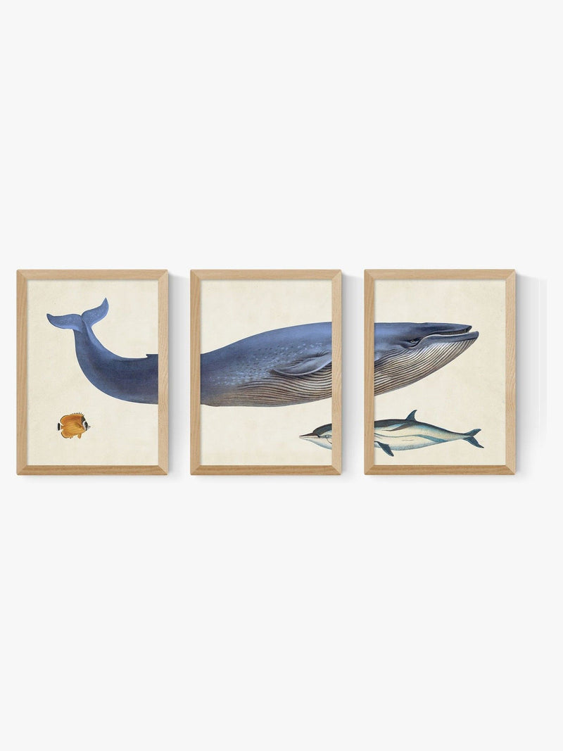 East End Prints black whale wall art prints set of 3 - British product